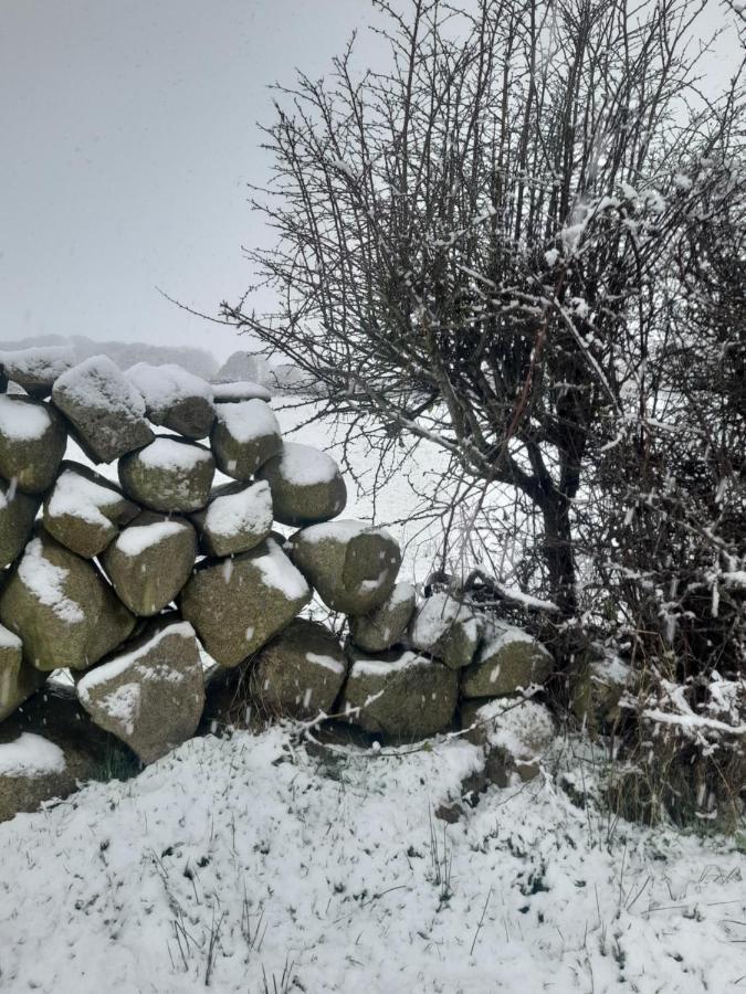 Ballykeel Farm, Mourne Mountains Ballymartin Exterior photo